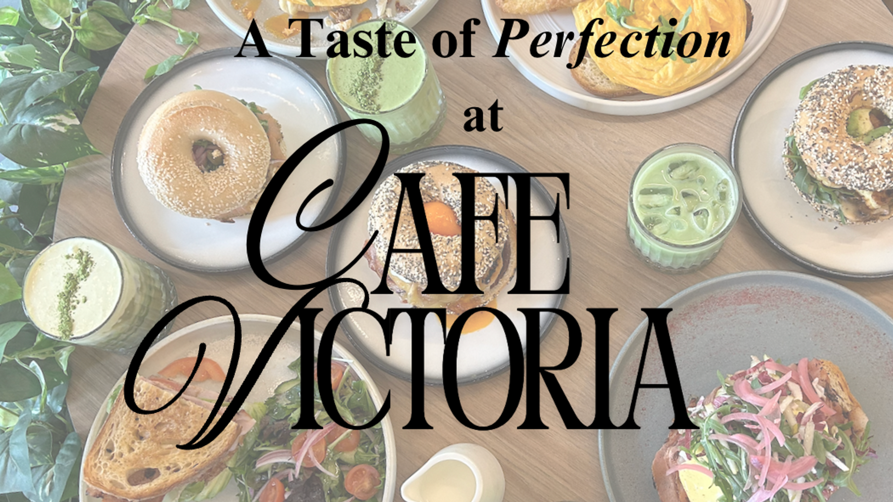 Video Highlight Reel